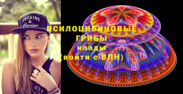 гидропоника Мегион