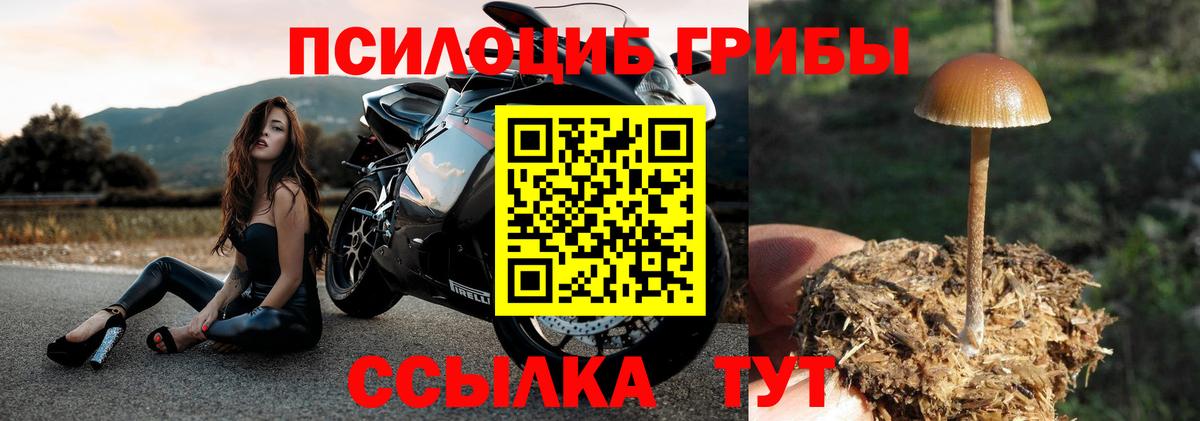 Галлюциногенные грибы GOLDEN TEACHER Раменское