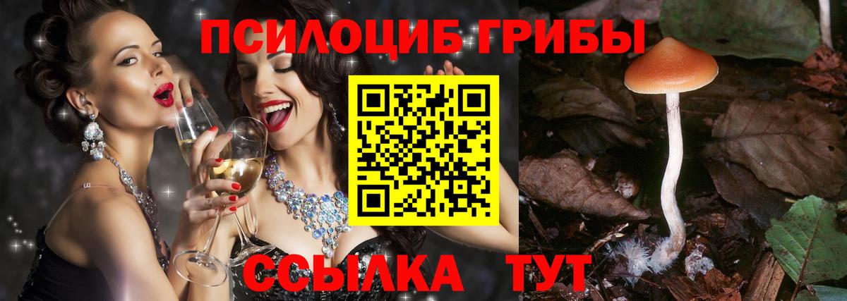 Раменское  где купить   Вход с VPN  Псилоцибиновые грибы ЛСД  Галлюциногенные грибы мухоморы 