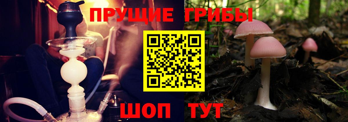 Галлюциногенные грибы мицелий Раменское