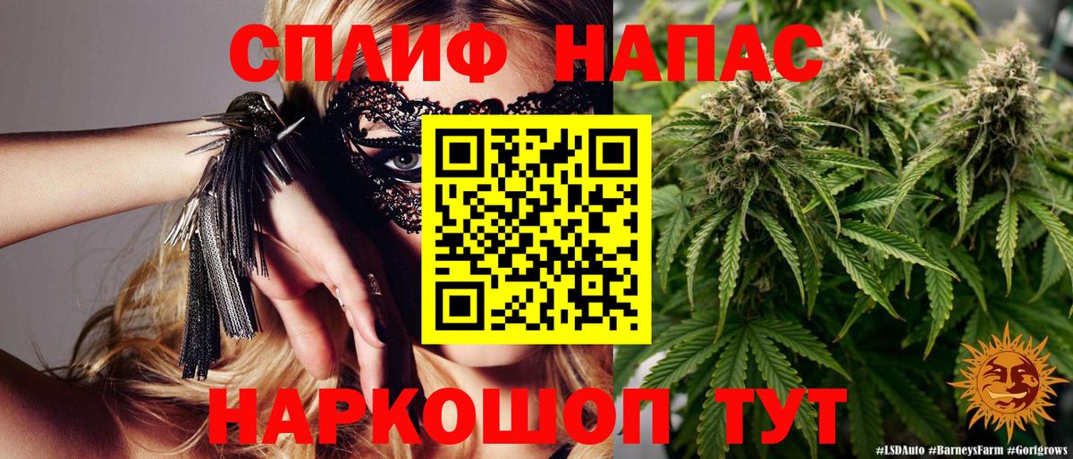 Бошки Шишки THC 21%  Бошки Шишки White Widow  Марихуана планчик  Раменское  Конопля MAZAR 